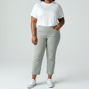 J. Jill Wearever Collection Cropped Pants NWT Women's Sz 4X Zinc Casual Chic